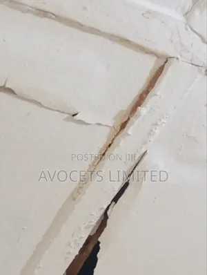 Termite (Deemark) Control.