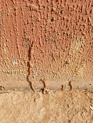 Termite (Deemark) Control.
