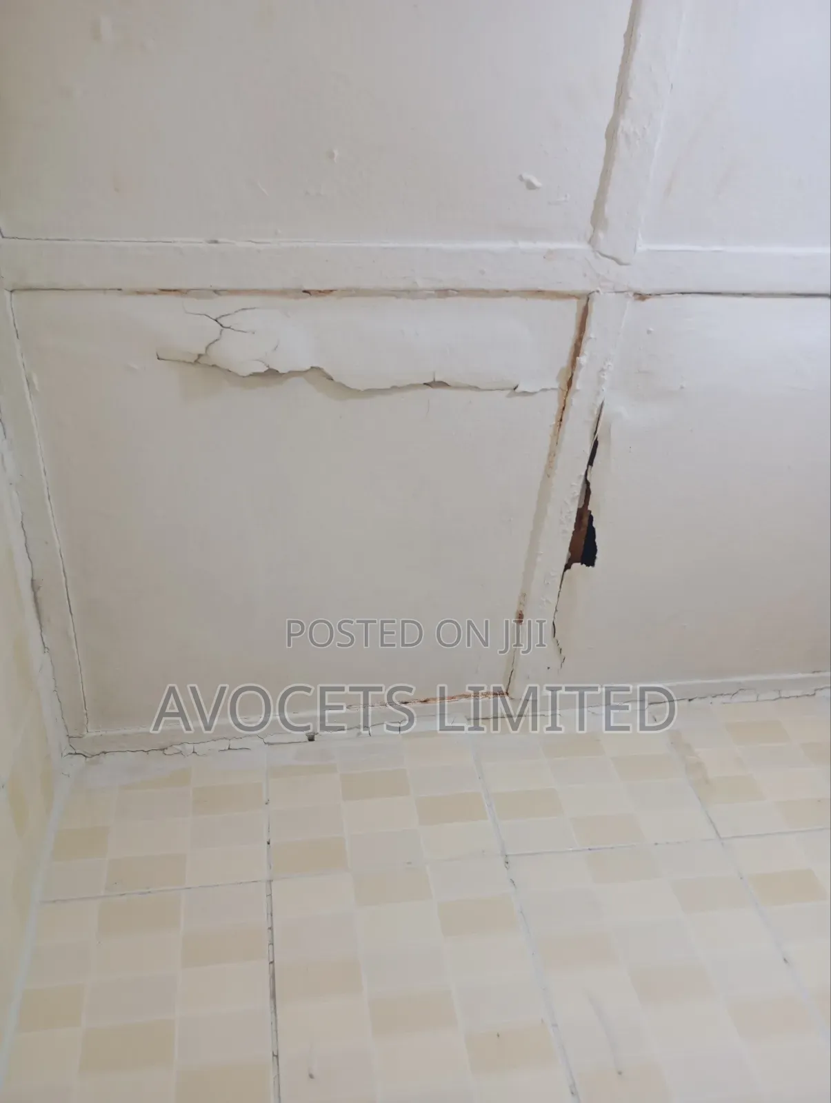 Termite (Deemark) Control.