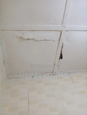 Termite (Deemark) Control.