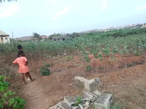 Flat Dry Full Plot of Land at Park View Off Ijede Ikorodu