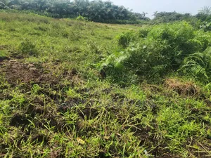 25 Acres For Sale Location Eleko Junction