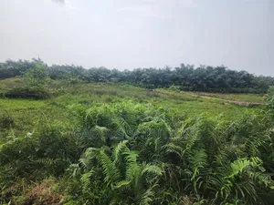 1 Acre in Container Bus-Stop