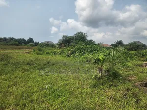 4 Plots in Jehovah Witness Road