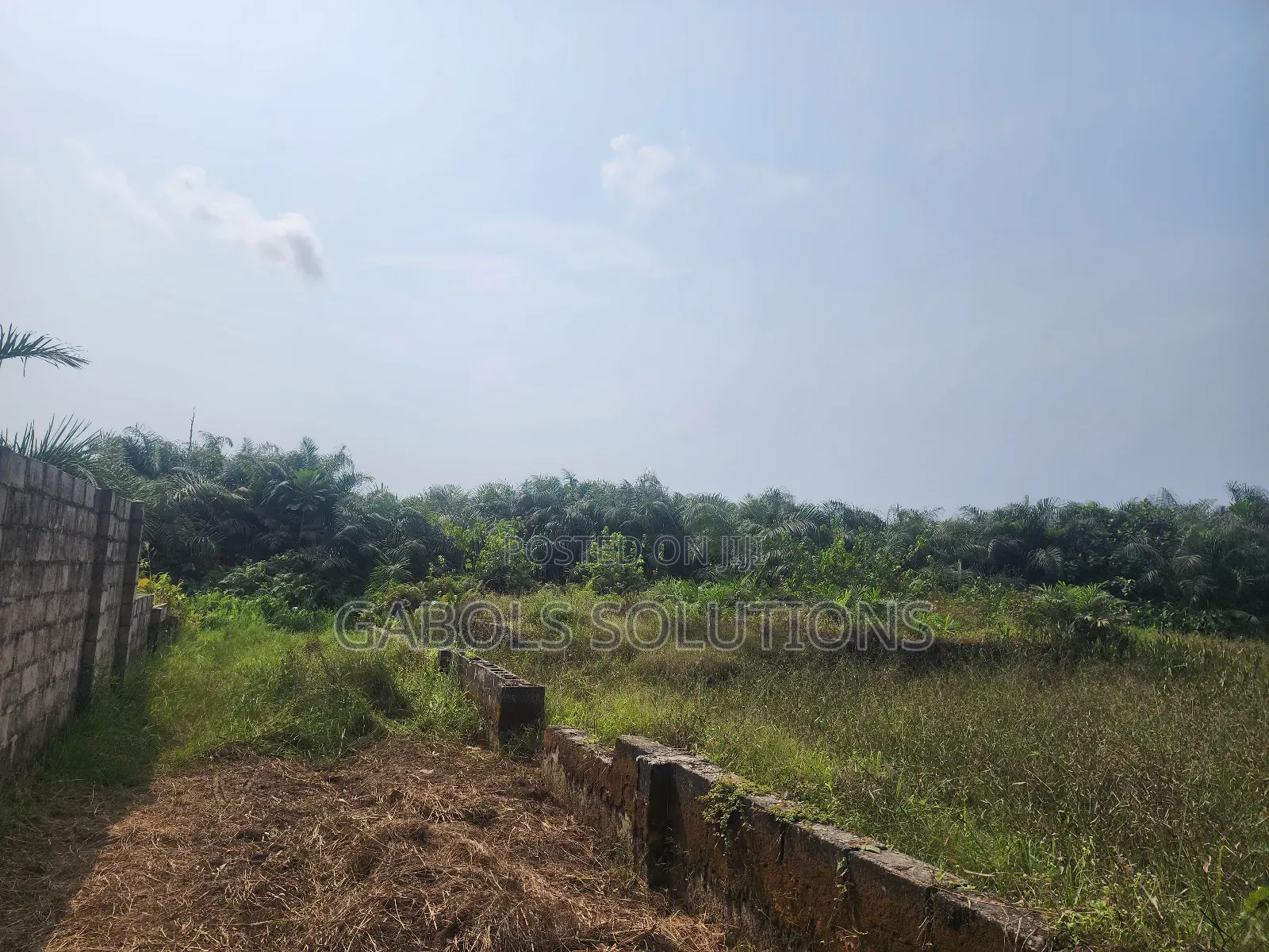 2 Plots Facing Express in Eleko Junction.