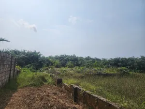 2 Plots Facing Express in Eleko Junction.