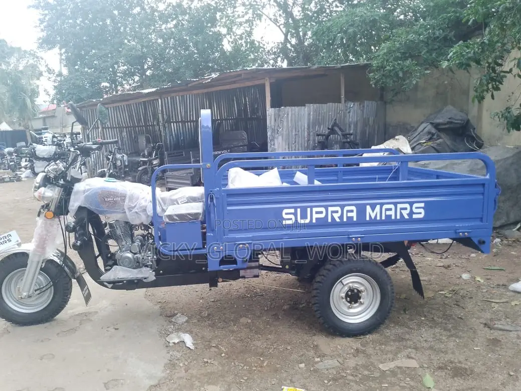 New Tricycle 2025 Blue