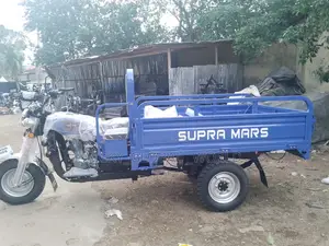 New Tricycle 2025 Blue