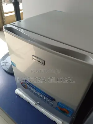 Keep Your Food Cool and Organized With Polystar Refrigerator