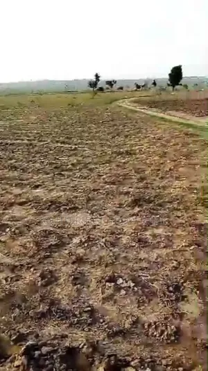 9.9ha Multipurpose Land With a Nagis C of O