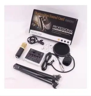 Professional Condenser Microphone With Patented Audio