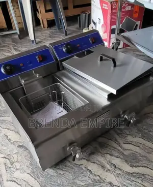 Electric Deep Fryer