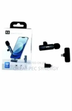 2 in 1 Wireless Microphone