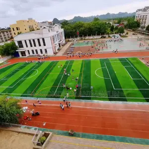 Football Artificial Grass