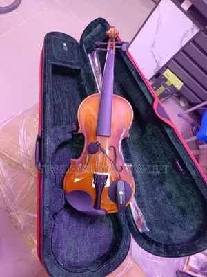 Violin and Violin Microphone
