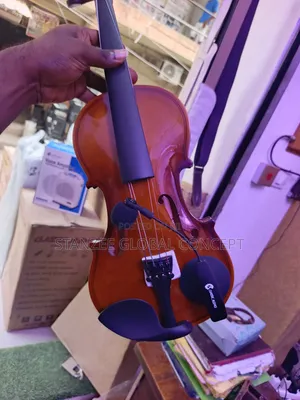 Violin and Violin Microphone