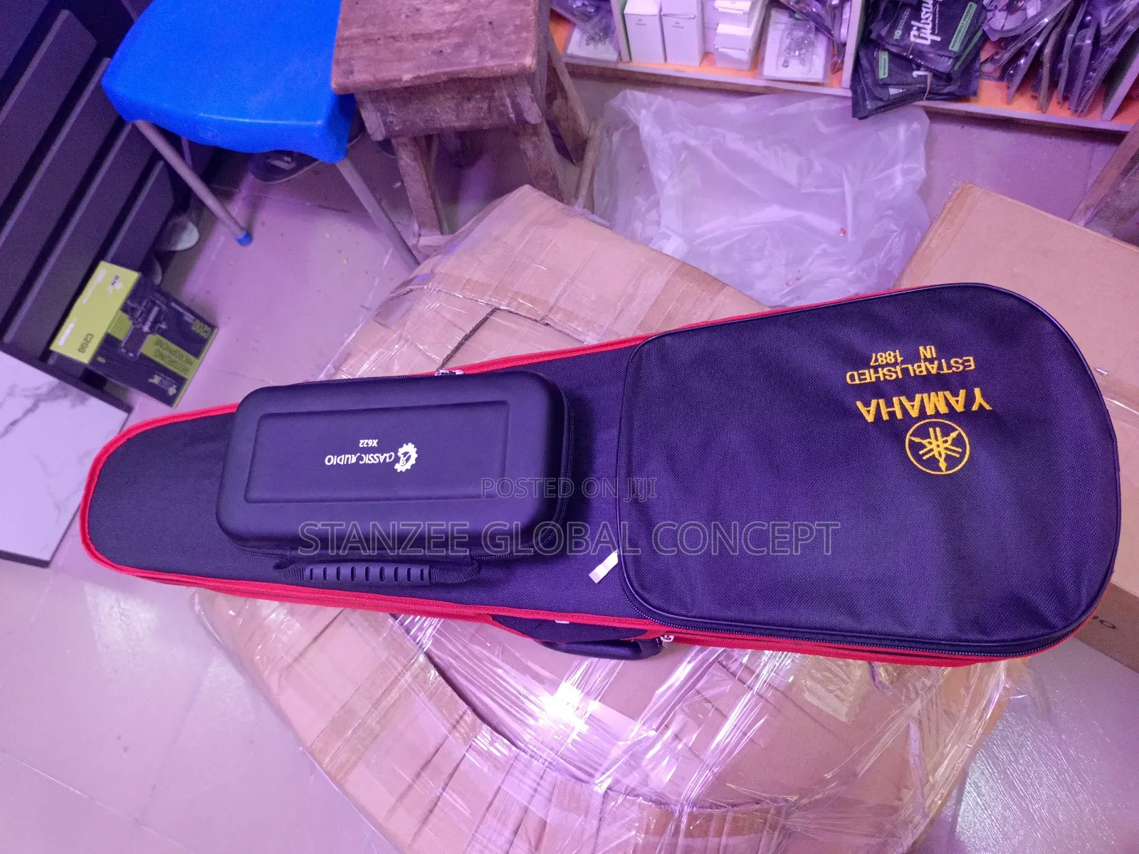 Violin and Violin Microphone