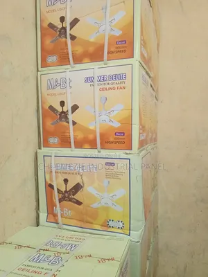 Ceiling Fan