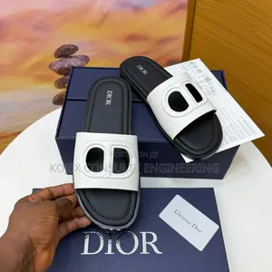 Luxury Dior Canvas Available