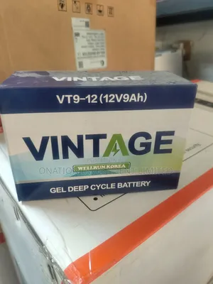 9ah 12v Vintage Solar Battery