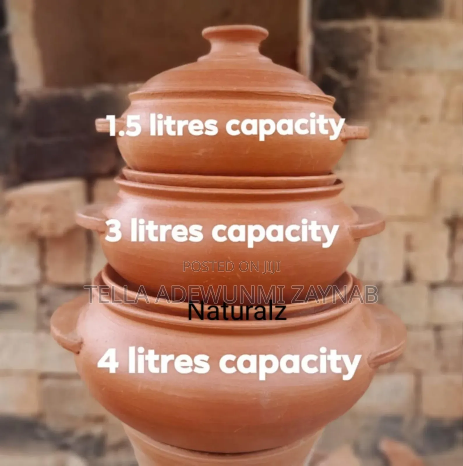 Earthenware Pot/Clay Pot