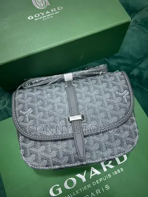 High Quality and Luxury Gray Goyard Feminine Side Bags