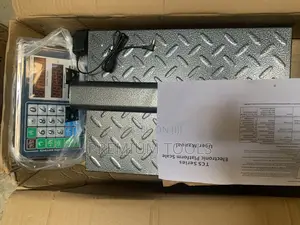 300 Kg Scale