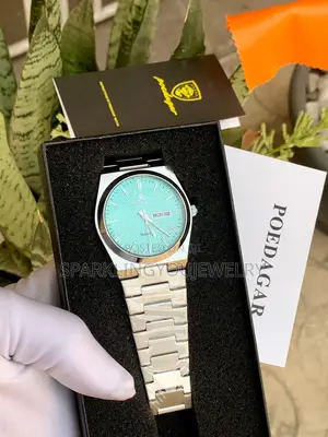 Luxury Poedagar Watch for Guys