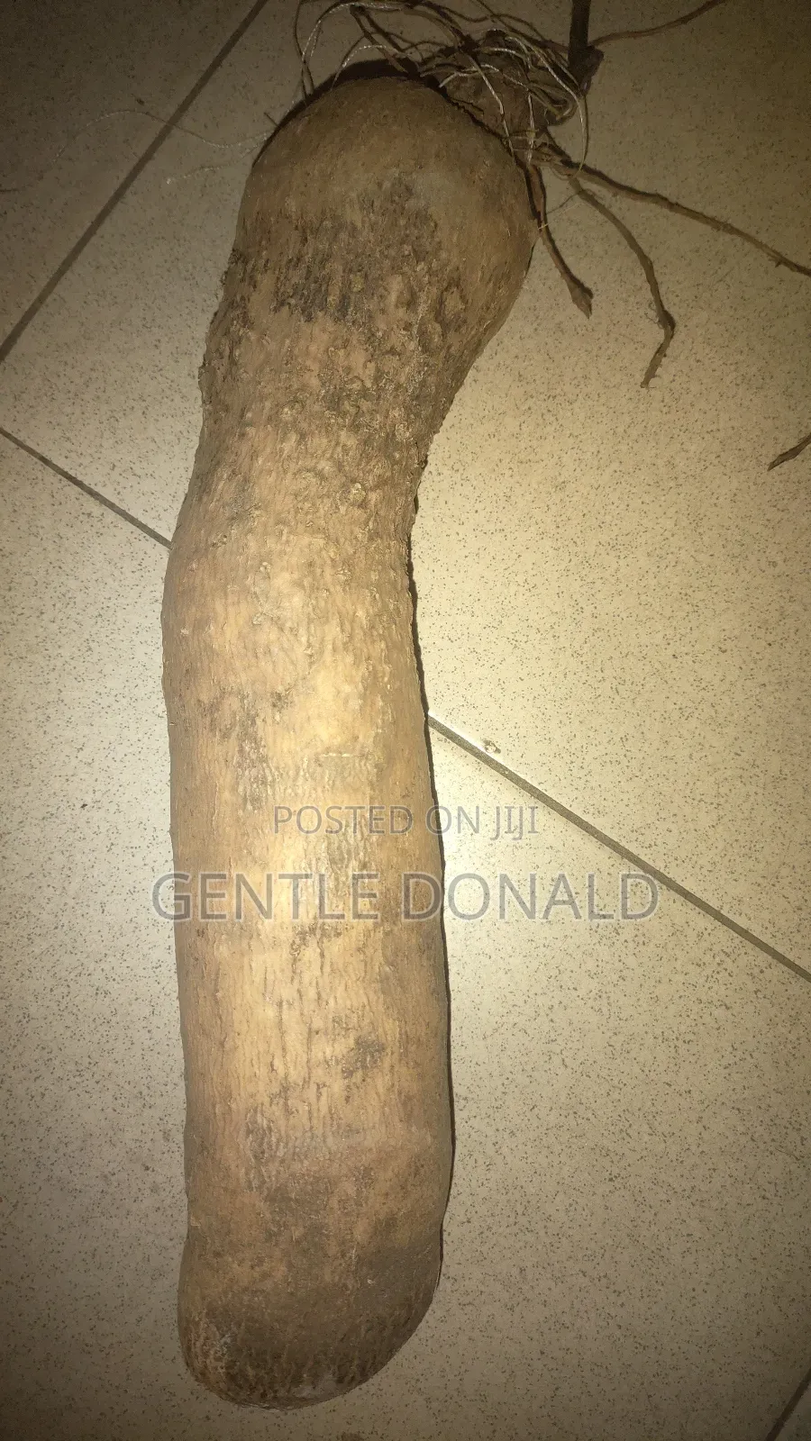 Treated Seed Yams