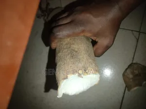 Treated Seed Yams