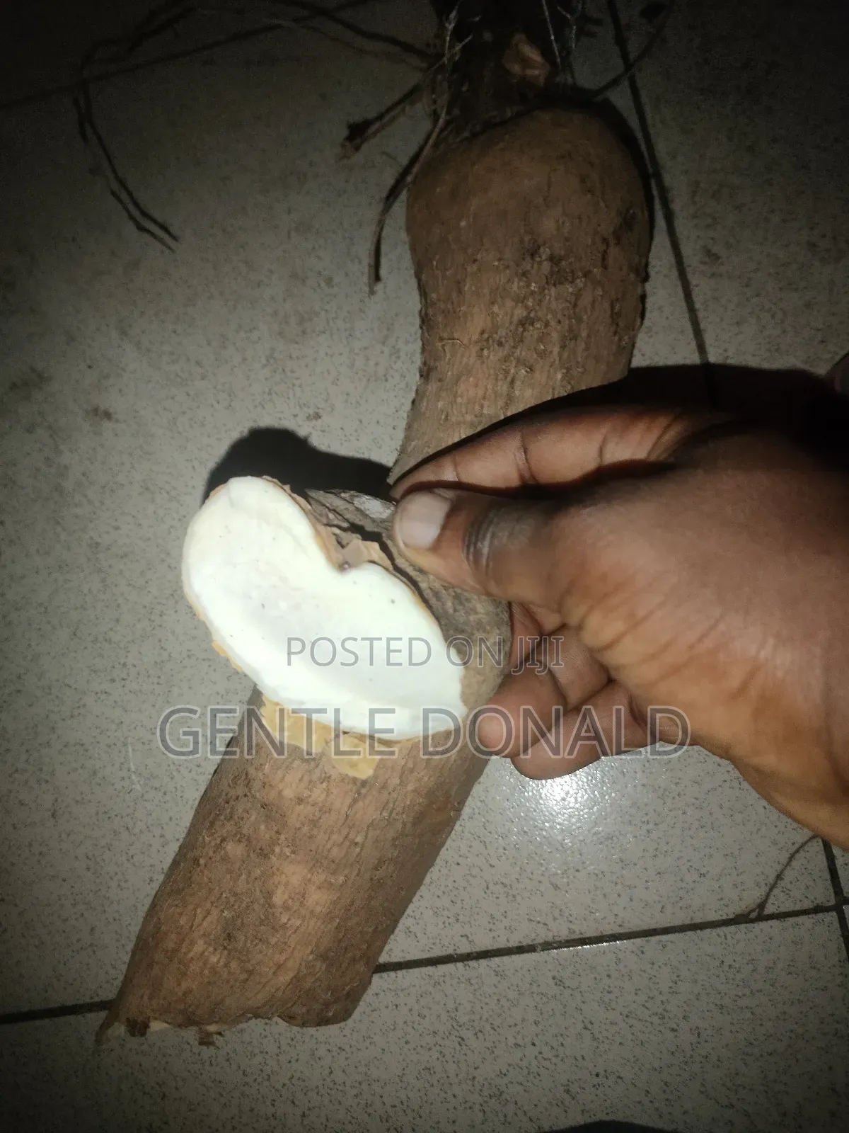 Treated Seed Yams
