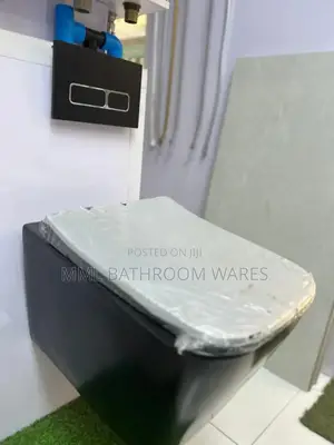Black Conceal Wc