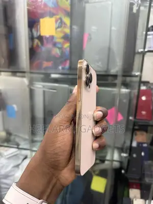 Apple iPhone 13 Pro Max 256 GB Gold