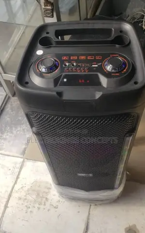 High Quality Indoor/ Outdoor Party Speaker