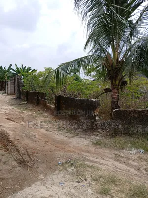 Buy and Build and Move in 1 Plot of Land for Sale at Eneka