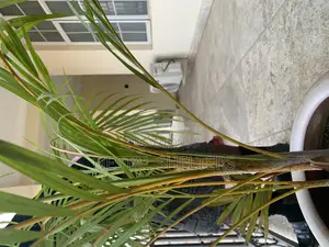 Furnished 3bdrm Block of Flats in Katampe Main for rent