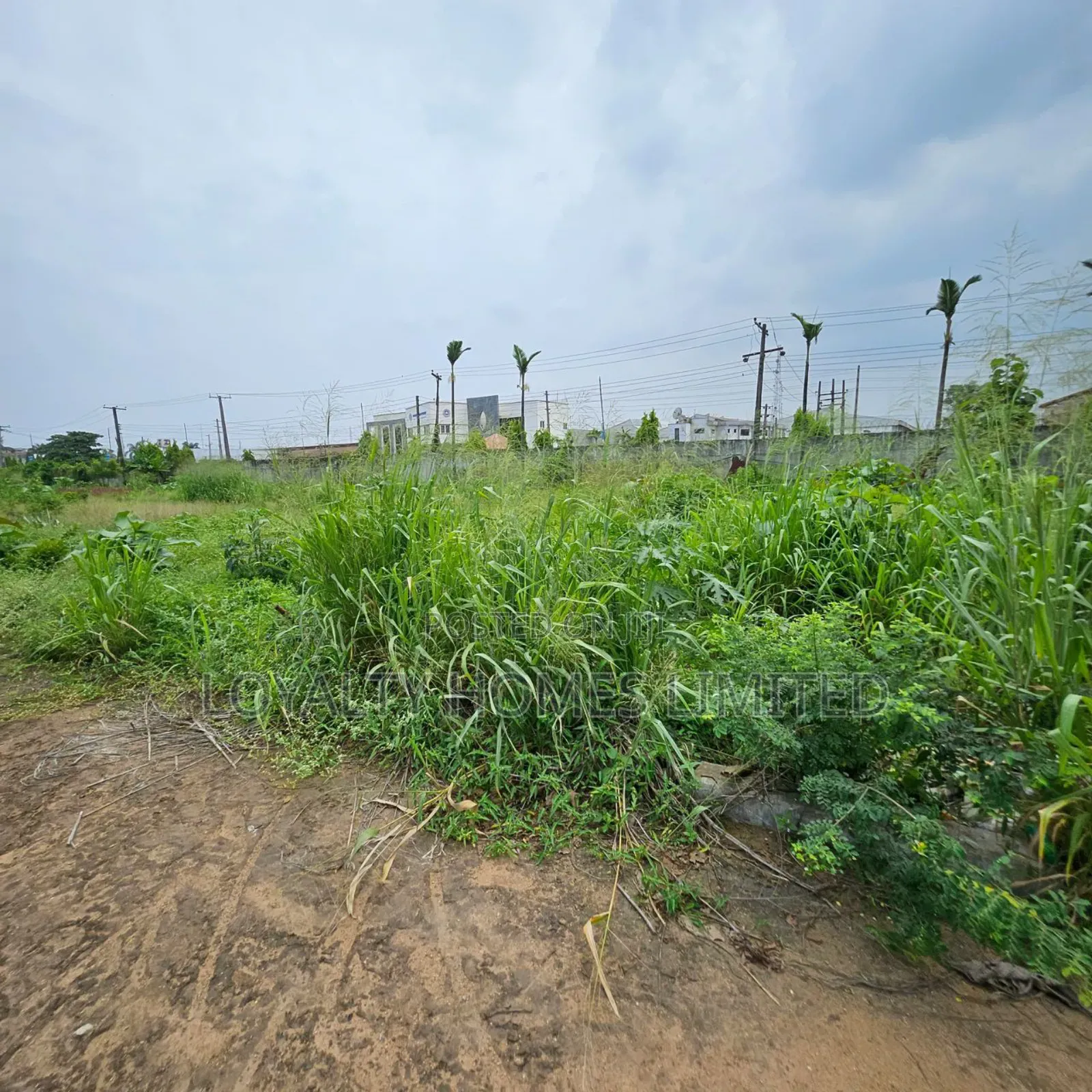 Complete Plots of Land for Sale