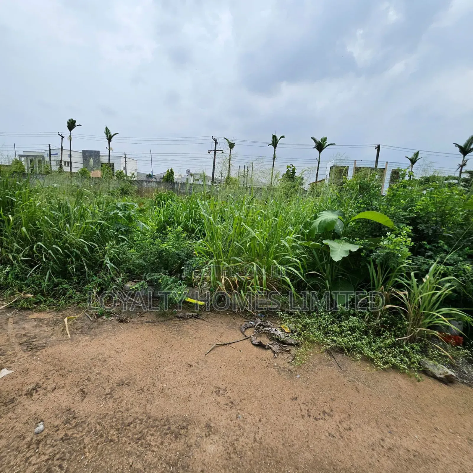 Complete Plots of Land for Sale