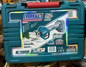 Total 20V Lithium-Ion Gauge