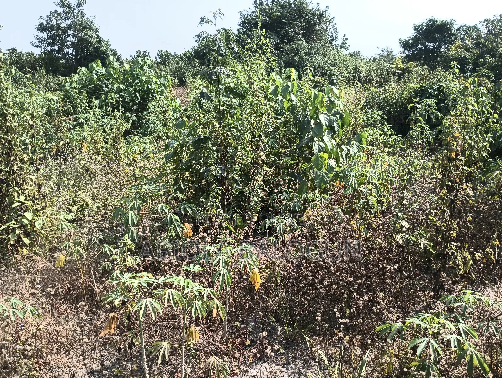 Lands for Sales in Lagos State