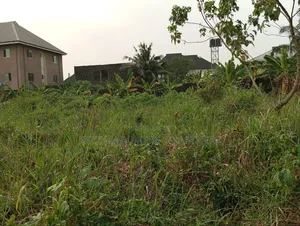 For Sale: 1 Cornerpiece Plot at Mandela Estate,Sars Road,Ph