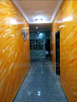 Professional Painter