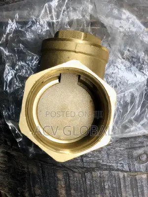 2” Brass Non Return Valve