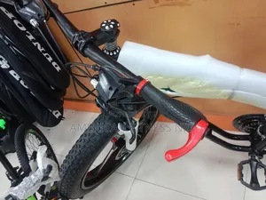 Big Tyre Bicycle