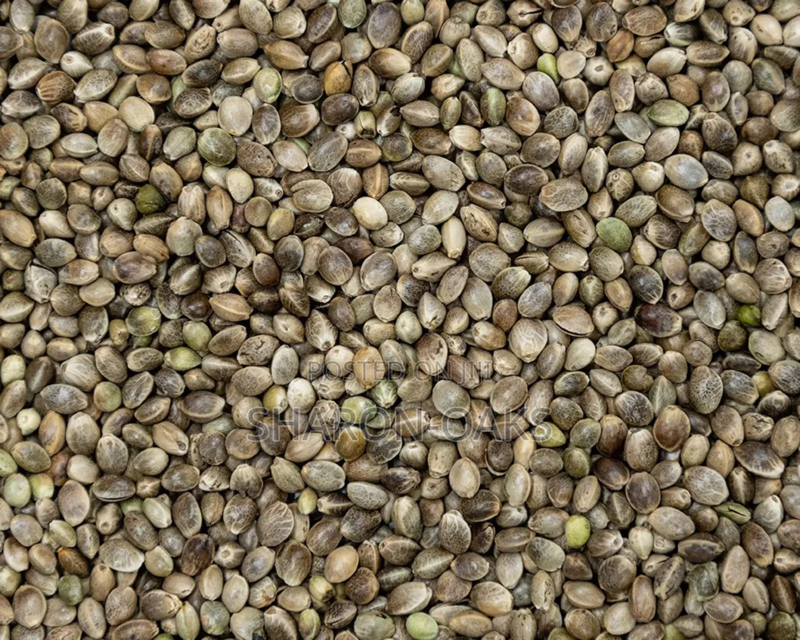 Hemp Seed 1kg