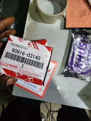 Original Thermostat of Toyota Camry and Other Cars Available