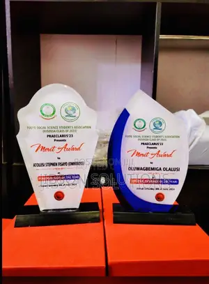 Acrylic Award