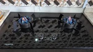 2 Burner Inbuilt Cooker