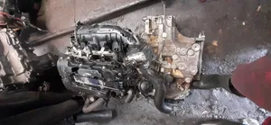 Chocolate Cruise Engine Four Plug