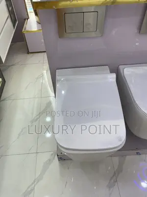 Wall Hung Water Closet